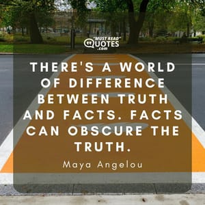 There's a world of difference between truth and facts. Facts can obscure the truth.