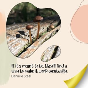 If it's meant to be, they'll find a way to make it work eventually.