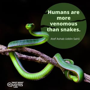 Humans are more venomous than snakes.