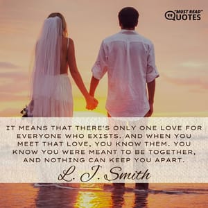 It means that there's only one love for everyone who exists. And when you meet that love, you know them. You know you were meant to be together, and nothing can keep you apart.