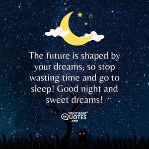 The future is shaped by your dreams, so stop wasting time and go to sleep! Good night and sweet dreams!