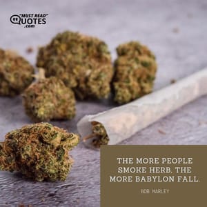 The more people smoke herb, the more Babylon fall.