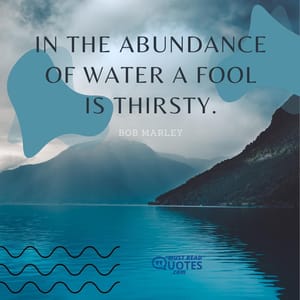 In the abundance of water a fool is thirsty.