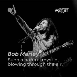 Such a natural mystic, blowing through the air.