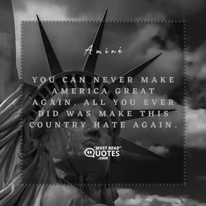 You can never make America great again. All you ever did was make this country hate again.