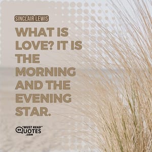What is love? It is the morning and the evening star.