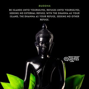 Be islands unto yourselves, refuges unto yourselves, seeking no external refuge; with the Dhamma as your island, the Dhamma as your refuge, seeking no other refuge.