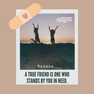 A true friend is one who stands by you in need.