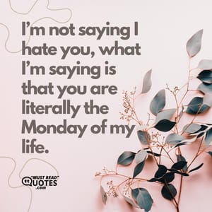 I’m not saying I hate you, what I’m saying is that you are literally the Monday of my life.