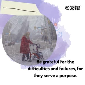 Be grateful for the difficulties and failures, for they serve a purpose.