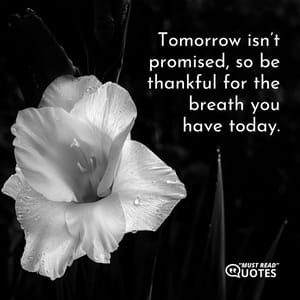 Tomorrow isn’t promised, so be thankful for the breath you have today.