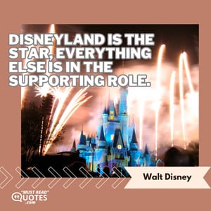 Disneyland is the star, everything else is in the supporting role.