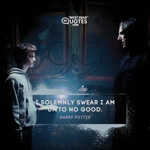 I solemnly swear I am up to no good.