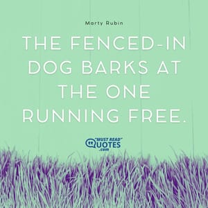 The fenced-in dog barks at the one running free.