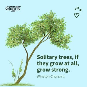 Solitary trees, if they grow at all, grow strong.