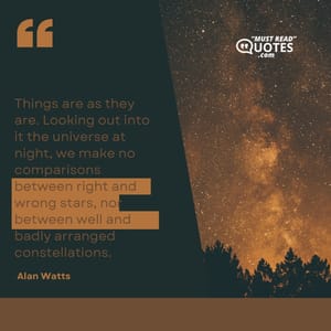 Things are as they are. Looking out into it the universe at night, we make no comparisons between right and wrong stars, nor between well and badly arranged constellations.