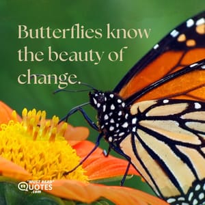 Butterflies know the beauty of change.