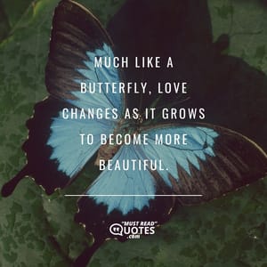 Much like a butterfly, love changes as it grows to become more beautiful.