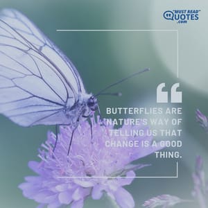 Butterflies are nature's way of telling us that change is a good thing.