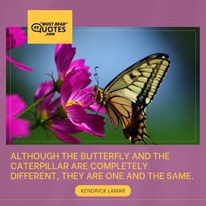 Although the butterfly and the caterpillar are completely different, they are one and the same.