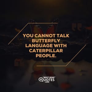 You cannot talk butterfly language with caterpillar people.