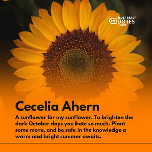 A sunflower for my sunflower. To brighten the dark October days you hate so much. Plant some more, and be safe in the knowledge a warm and bright summer awaits.