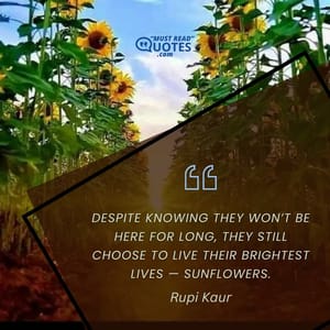 Despite knowing they won’t be here for long, they still choose to live their brightest lives — sunflowers.
