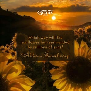 Which way will the sunflower turn surrounded by millions of suns?