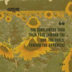The sunflowers turn their face toward the Sun, the fools, toward the darkness!