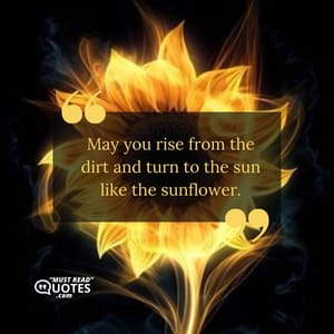 May you rise from the dirt and turn to the sun like the sunflower.