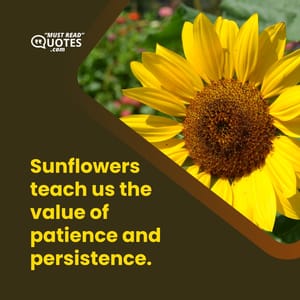 Sunflowers teach us the value of patience and persistence.