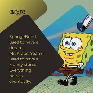 SpongeBob: I used to have a dream. Mr. Krabs: Yeah? I used to have a kidney stone. Everything passes eventually.