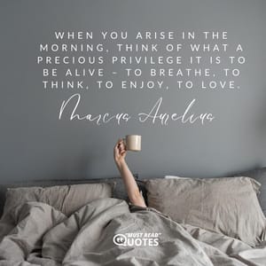 When you arise in the morning, think of what a precious privilege it is to be alive – to breathe, to think, to enjoy, to love.