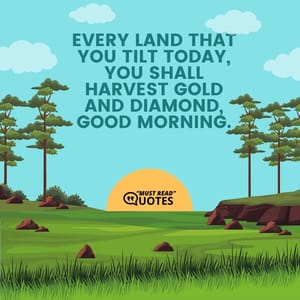 Every land that you tilt today, you shall harvest gold and diamond, good morning.