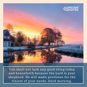 You shall not lack any good thing today and henceforth because the Lord is your shepherd. He will make provision for the tiniest of your needs. Good morning.