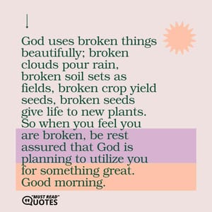 God uses broken things beautifully; broken clouds pour rain, broken soil sets as fields, broken crop yield seeds, broken seeds give life to new plants. So when you feel you are broken, be rest assured that God is planning to utilize you for something great. Good morning.