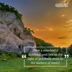 Have a wonderful morning, and live in the light of gratitude even in the darkest of times!