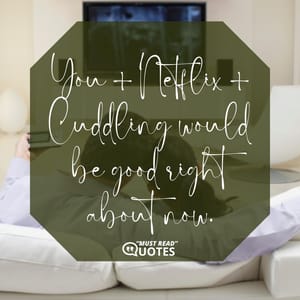 You + Netflix + Cuddling would be good right about now.