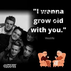 I wanna grow old with you.
