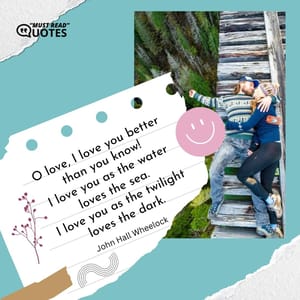 O love, I love you better than you know! I love you as the water loves the sea. I love you as the twilight loves the dark.