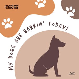 My dogs are barkin’ today!