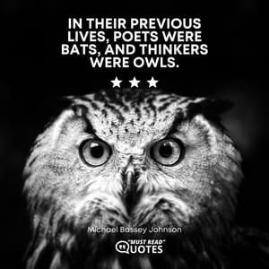 In their previous lives, poets were bats, and thinkers were owls.