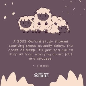 A 2002 Oxford study showed counting sheep actually delays the onset of sleep. It's just too dull to stop us from worrying about jobs and spouses.
