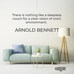 There is nothing like a sleepless couch for a clear vision of one's environment.