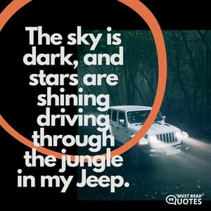 The sky is dark, and stars are shining driving through the jungle in my Jeep.