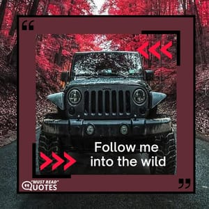 Follow me into the wild.
