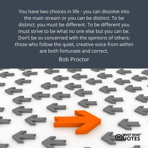 You have two choices in life - you can dissolve into the main stream or you can be distinct. To be distinct, you must be different. To be different you must strive to be what no one else but you can be. Don’t be so concerned with the opinions of others; those who follow the quiet, creative voice from within are both fortunate and correct.