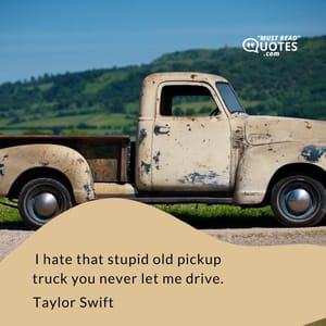 I hate that stupid old pickup truck you never let me drive.