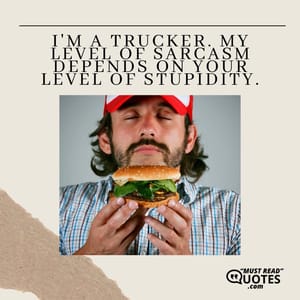 I'm a trucker. My level of sarcasm depends on your level of stupidity.