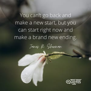 You can’t go back and make a new start, but you can start right now and make a brand new ending.